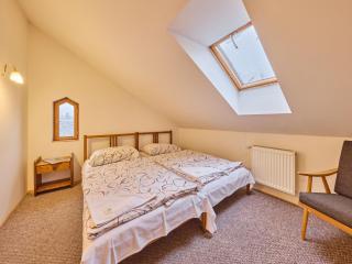 Apartment Stříbrný pramen-3 by Interhome - 0