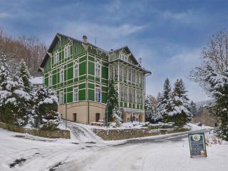 Apartment Stříbrný pramen-3 by Interhome - 1