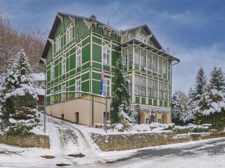 Apartment Stříbrný pramen-5 by Interhome - 1