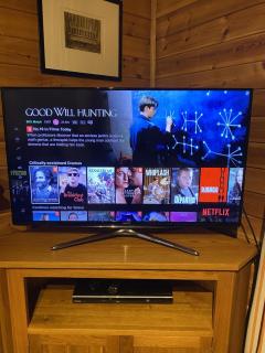 Dunnock Lodge with Hot-tub - 4