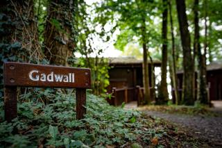 Gadwall Lodge with Hot-tub - 8