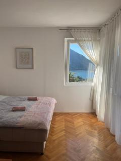 Cozy apartment with the view - Plužine - 9
