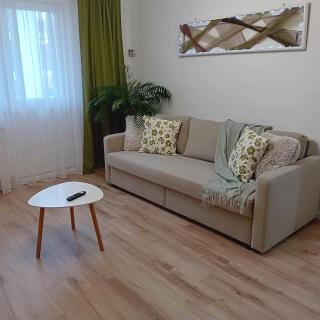 Harmonyhouse - Brasov - 7