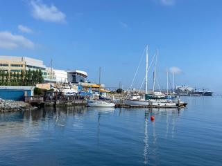 Modern studio near UCSF/Chase/Oracle Park - 3