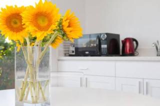 Modern studio near UCSF/Chase/Oracle Park - 4