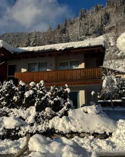 Appartement Svea - Zell am See - 8