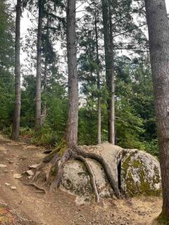 Serene Lake View Home - Bellingham - 8