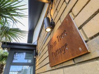 Palm Tree Cottage - 9