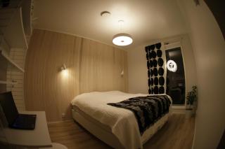 Villa Snowflake Venni - 1