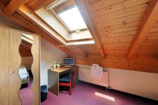 Hotel Alpha Thun - Thun - 5