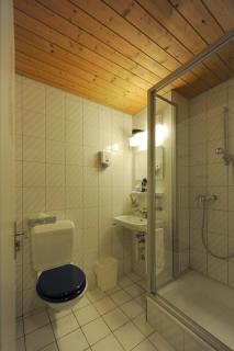 Hotel Alpha Thun - Thun - 4