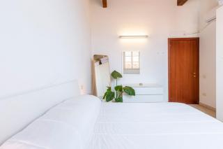 Penthouse with Terrace in historic centre - 7