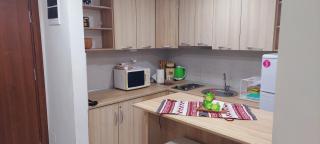 Apartment Invictus Mavrovo - 5