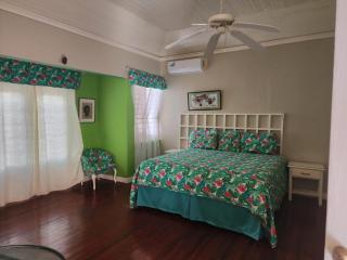 Coriander Villa - Ocho Rios - 6