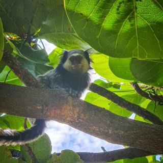 Estada Inesquecível 20 Guarapari - 2