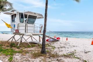 Ocean Breeze Free Parking Apt 2 - Fort Lauderdale - 0