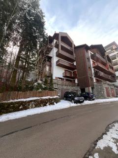 Vista Verde Apartment - Sinaia - 0