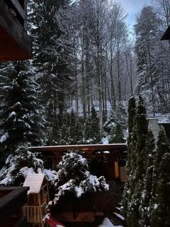 Vista Verde Apartment - Sinaia - 2