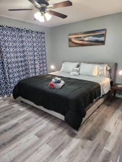 Blue Shark *B2* @ Bellaire 1BR King Apartment Near Medical Center - Houston - 0
