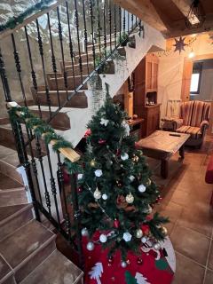 Casa Marite Vivienda de uso turístico - Campillo de Aranda - 4