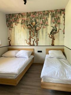 Leśny Horyzont Bałtów - 7