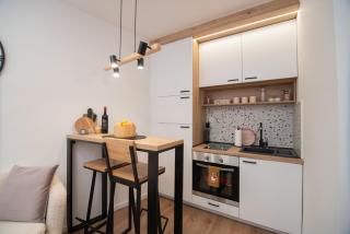 Cute 1BDR in City Center - Sarajevo - 4