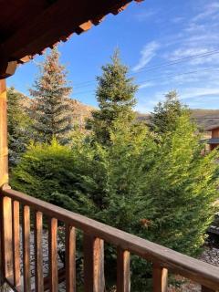 Hayes Chalet Arachova - Arachova - 1
