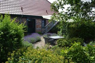 Apartment in Sehlen - Insel Rügen 3075 - Sehlen - 0