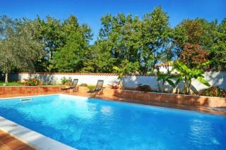 Family friendly apartments with a swimming pool Valica, Umag - 21926 - Umag - 4