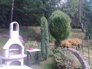 Holiday home in Marianska - Erzgebirge 1664 - 1