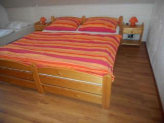 Holiday home Nove Hamry/Erzgebirge 1646 - Nové Hamry - 6