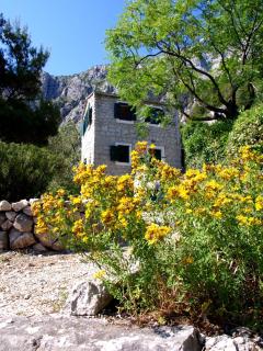 Holiday Home Dalmatinska Kuća - Makarska - 0