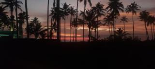Philosopher's Stone - Varkala - 3