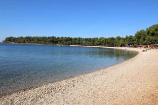 Apartment in Novigrad/Istrien 9390 - Karpinjan - 6