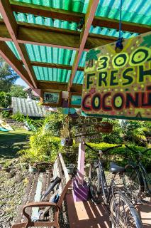Heimanarii,slodge Mahana - Haapiti - 6