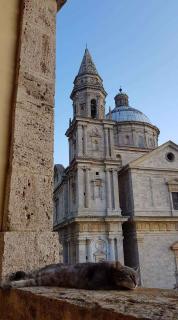 Apartment in Montepulciano - Toskana 36866 - Montepulciano - 6