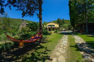 Holiday home in Cortona - Toskana 23618 - Cortona - 4