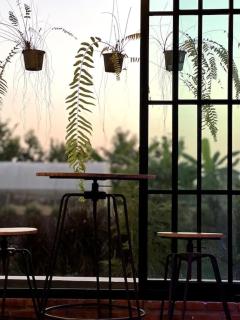 ณ บ้านนอก Organic Farmstay - 8