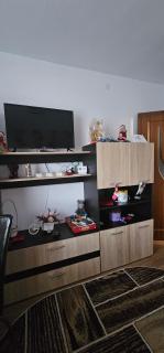 Casa Suzana - Piatra Neamţ - 7