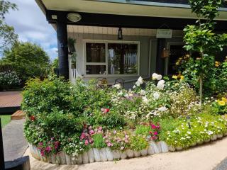 Entire ground floor with full-privacy and family-friendly popular to ferry catchers - Wellington - 4