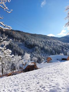 Landhaus Grünjuwel - 8