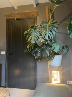 Vakantiehuis Hof Molenzicht - 4