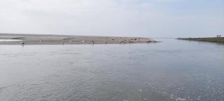 Les Marronniers 30 - Berck-sur-Mer - 2