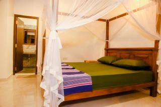 Veranda Mirissa - 1