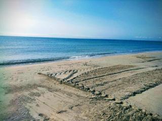 239 Amazing Penthouse Cabo Roig-Alicante Holiday - 9