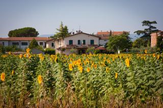 P&P Assisi Camere - Bastia Umbra - 7