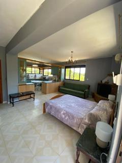 Alice’s Apartment - Argostoli - 0