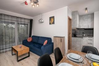 ApartWro 8th - City Square, Railway Station (balcony, garage) - Wrocław - 9