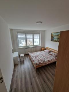 Lilly Apartment Tuzla - Tuzla - 7