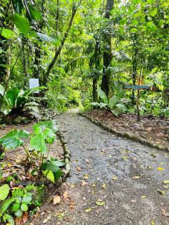 Wellness Park CR - 2